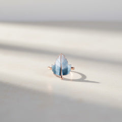 Petal Whisper Silver  Ring(FREE SIZE)
